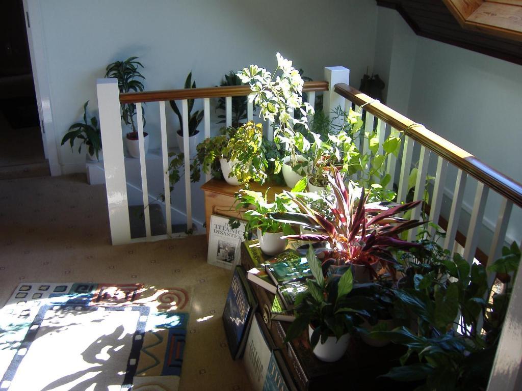 Springfield B&B Boreland of Colvend Экстерьер фото
